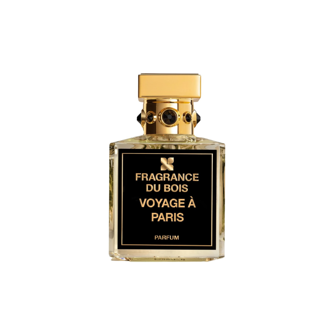 Voyage à Paris
